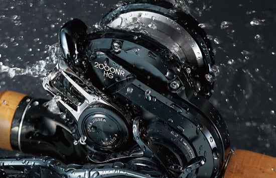 Shimano '19 Ocea Jigger F Custom