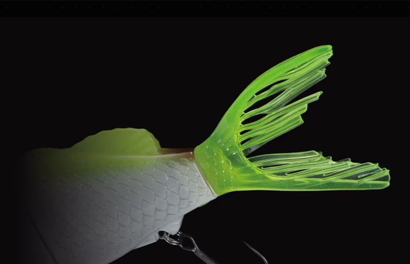 Shimano Bantam Bt Sraptor