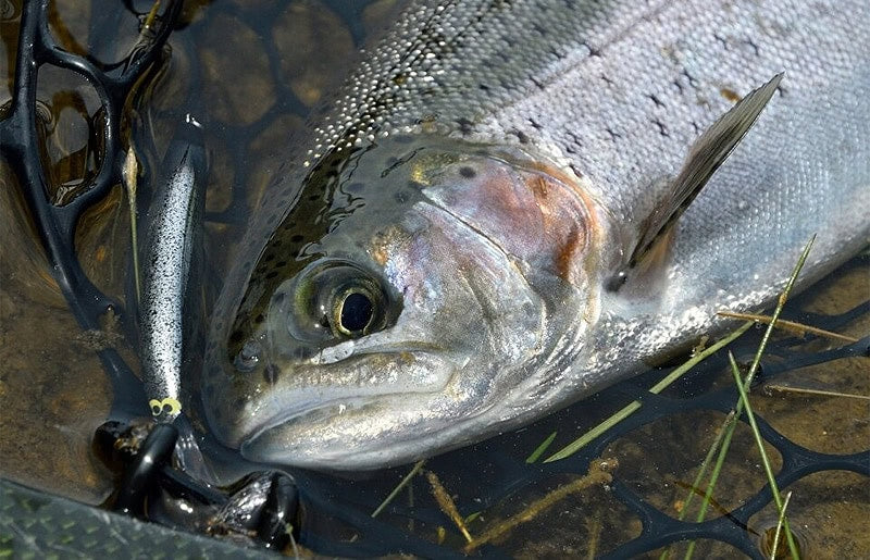 Shimano Cardiff Diverise 55F