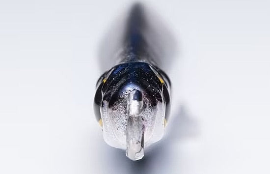 Shimano Coltsniper Iwashi Rocket