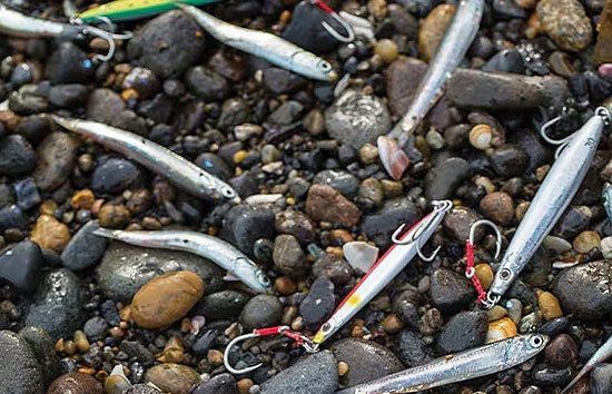 Shimano Coltsniper Iwashi Rocket