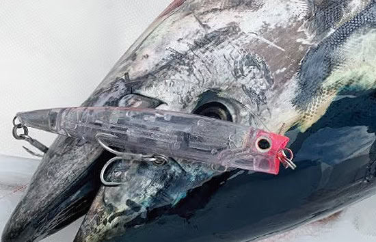 Shimano Ocea Bubble Dip 220F
