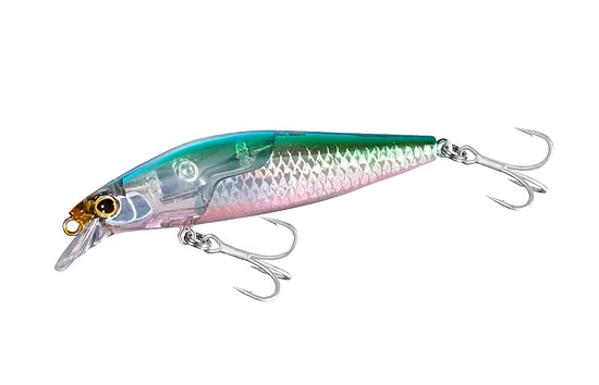 Shimano Silent Assassin 80F/80S Flash Boost