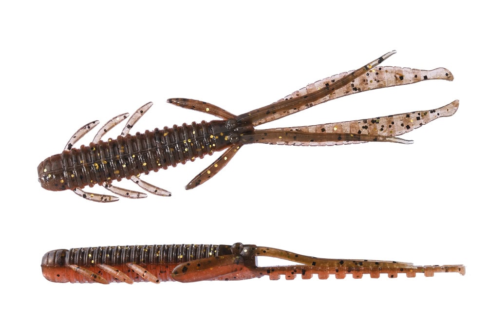 Crevettes vivantes OSP 4"