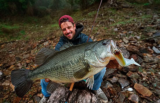 Swimbait Republic Glideway 126