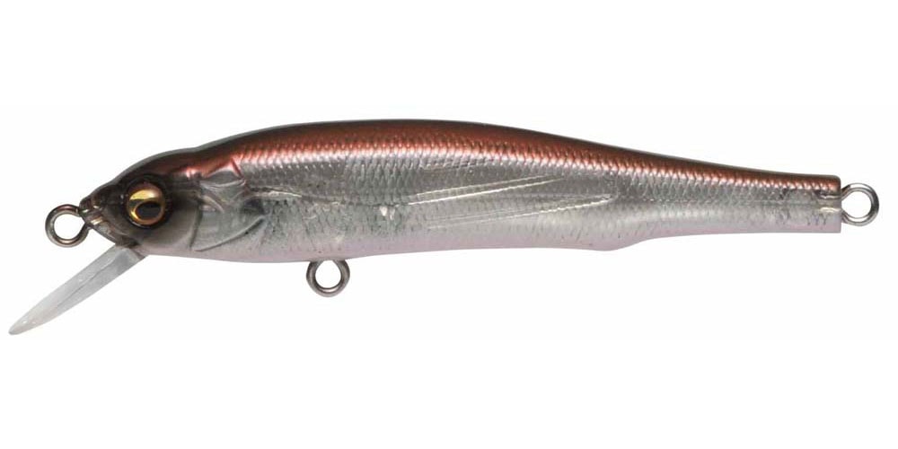 Megabass X-70 SP