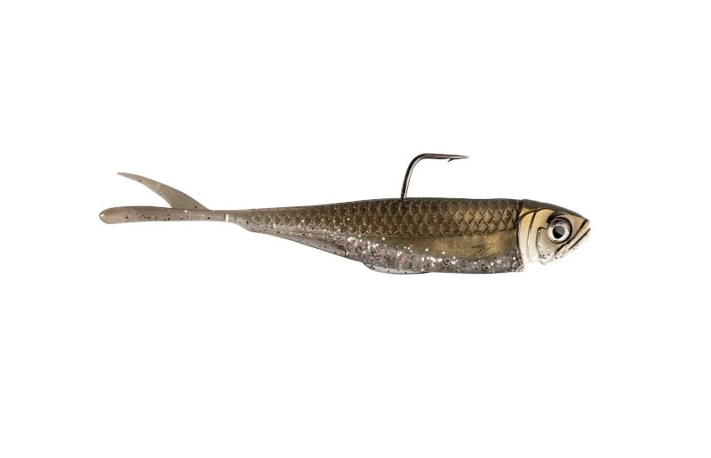 Z-Man Graph ShadZ 3.8"