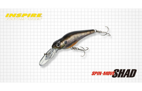 Evergreen Spin Move Shad