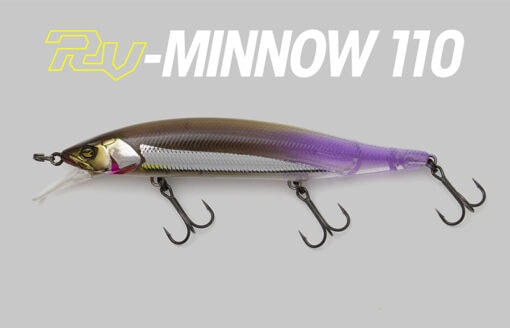 Jackall RV Minnow