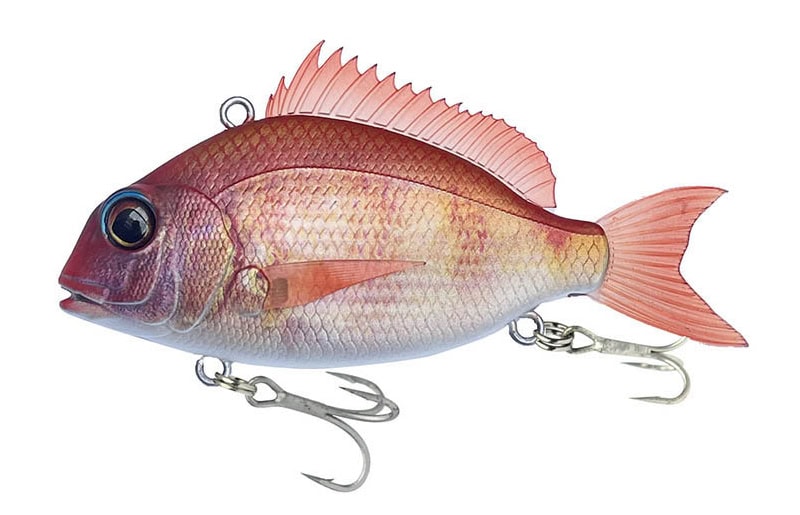 Little Jack Charikom 50 - FishCandy | Ready To Fish - 100