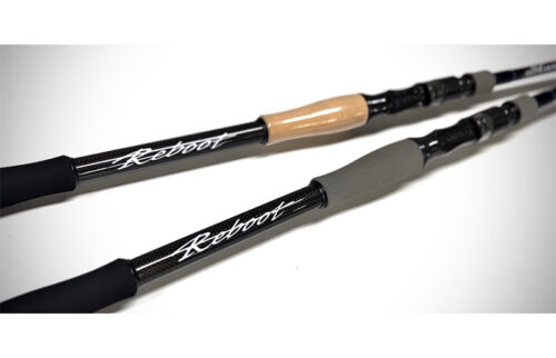 Designo Slang Reboot